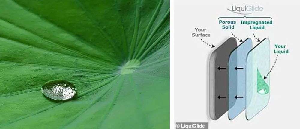 再也不用「擠牙膏」，高露潔換上的「潤滑劑」包裝，讓牙膏從此一滴不剩