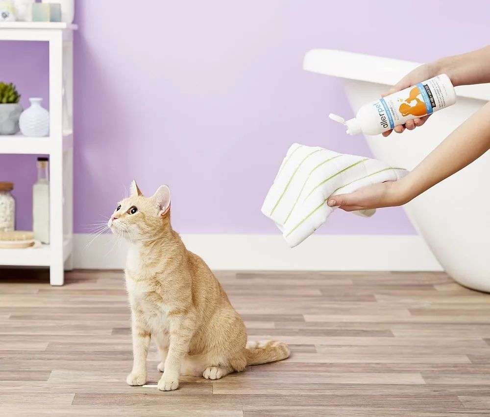 國內(nèi)外巨頭相繼入局，寵物洗護品成為新的掘金賽道？