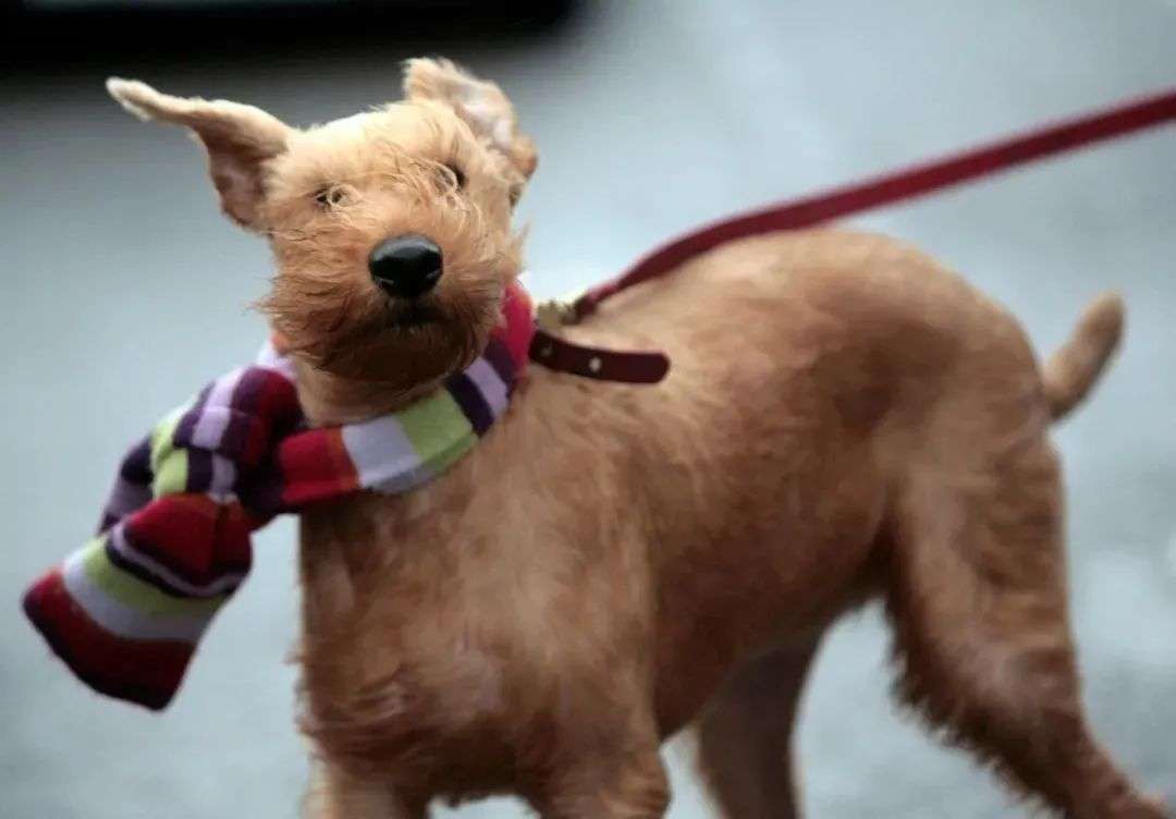 看一眼你的頭發(fā)，就知道洗發(fā)水買錯了